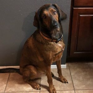 Meet your Posher, Crystal